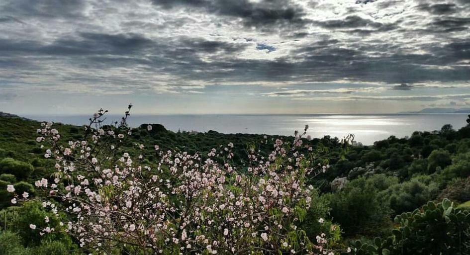 Salmagilandia Terra Mala Exterior foto