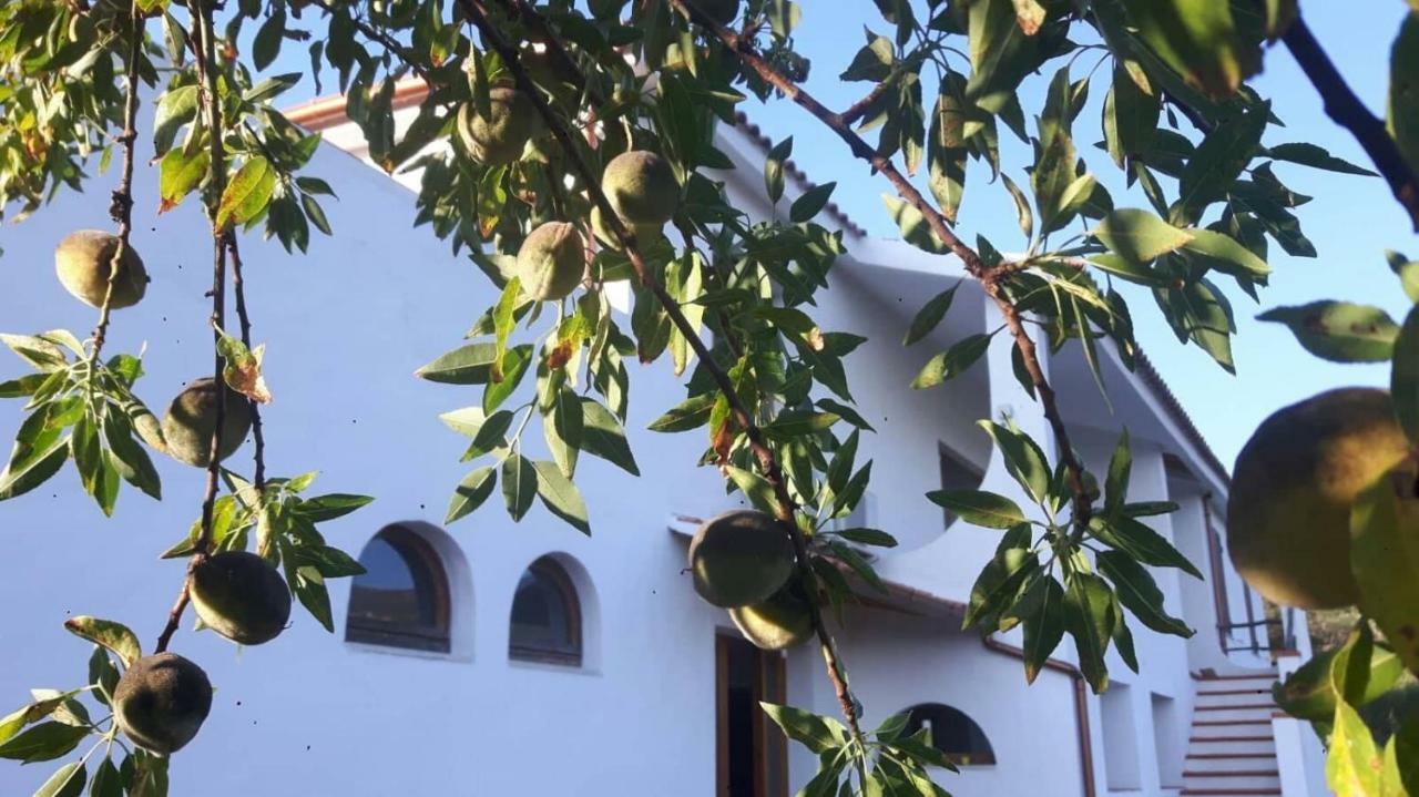 Salmagilandia Terra Mala Exterior foto
